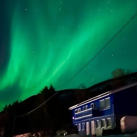 Artic Dream Daire Gratangen Dış mekan fotoğraf