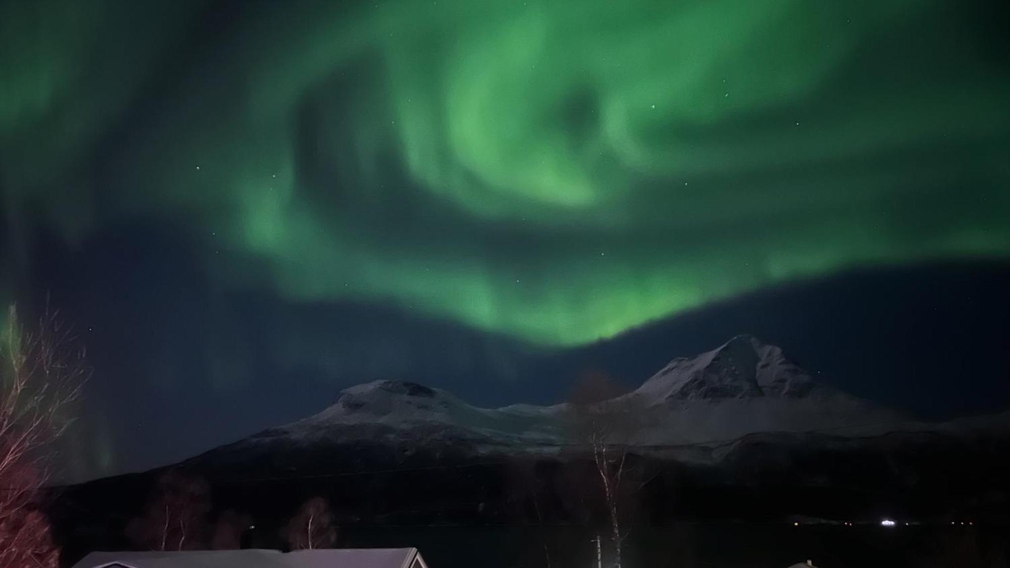 Artic Dream Daire Gratangen Dış mekan fotoğraf