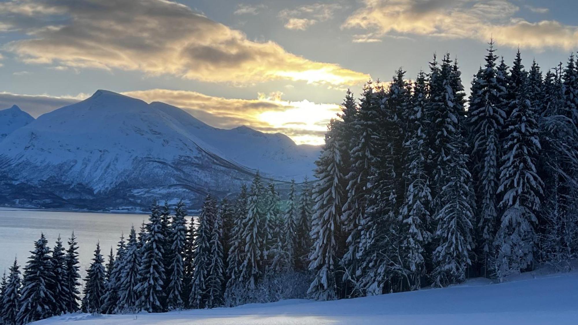 Artic Dream Daire Gratangen Dış mekan fotoğraf